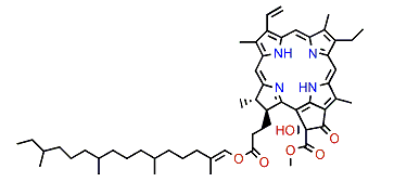 (13(2)-R)-Hydroxyphaeophytin A